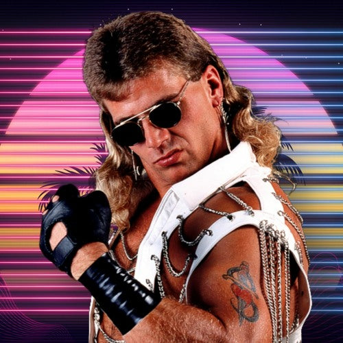 Shawn Michaels Highspots Auctions