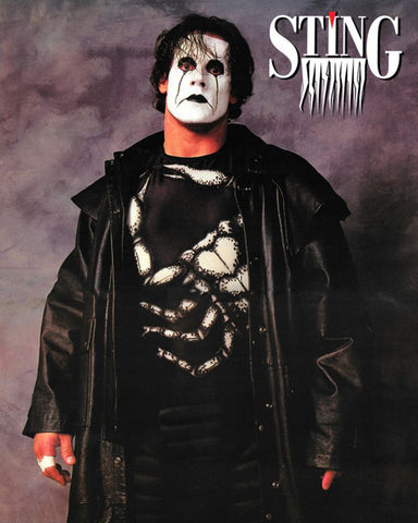 *Signed* Sting Crow Poster 8x10 Promo or 11x14 Poster (JSA)