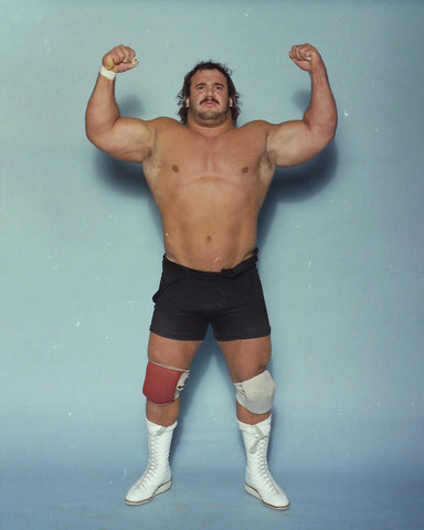 *Signed* Ted Arcidi Arms Up Flex 8x10 Promo or 11x14 Poster (JSA)