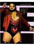 VGT 07-17 - Bronson Reed 8x10 (1-4) (HSS)
