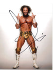 VGT 07-17 - Juice Robinson 8x10 Pose (HSS)*